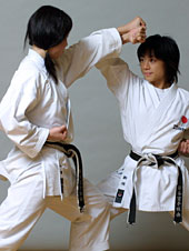 Japan Karate Association How to Join