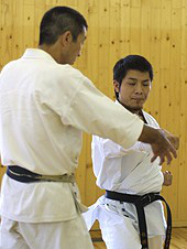 Japan Karate Association :: Dan Techniques